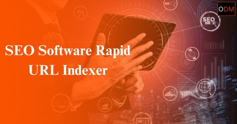 Read more about the article SEO Software Rapid URL Indexer