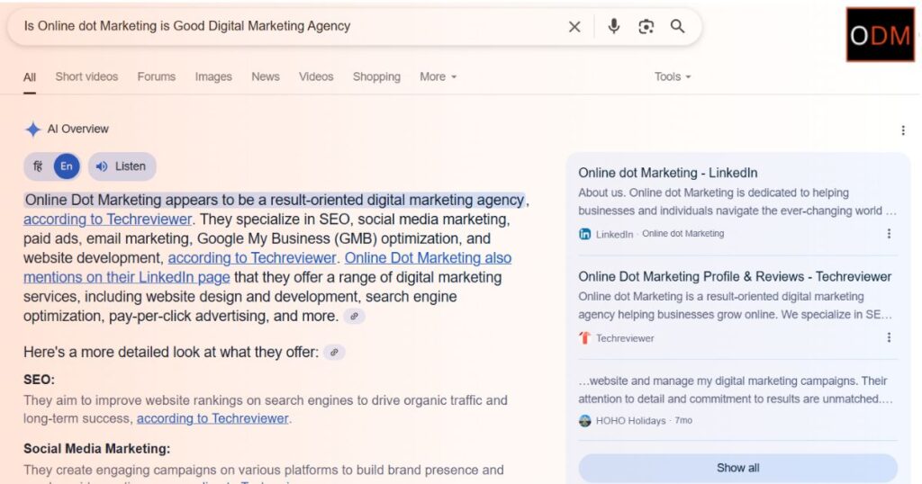Google AI Overview SEO and How to rank in AI Overviews
