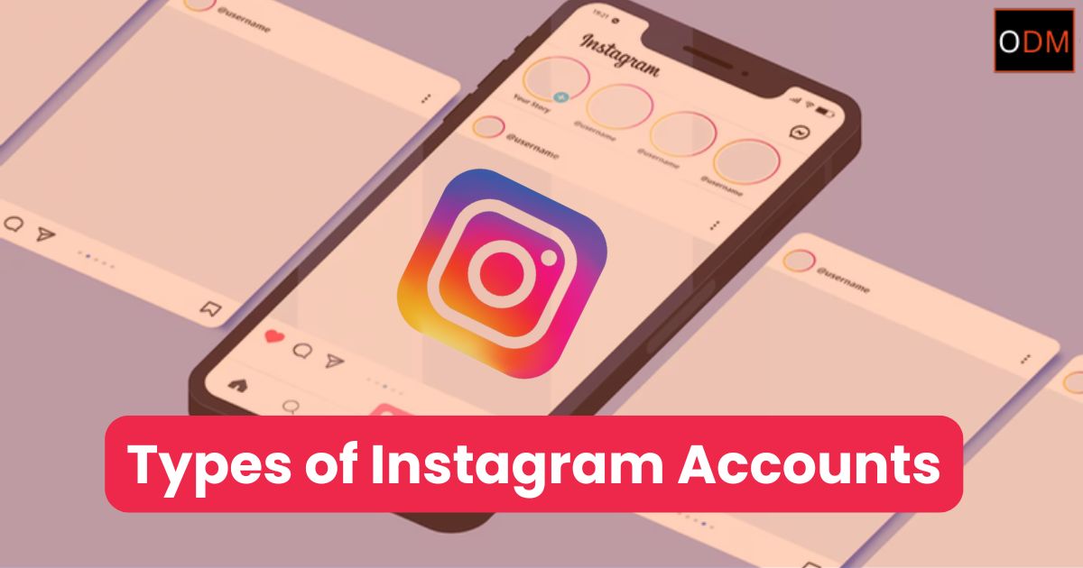 Types of Instagram Accounts: Which is Best for Your Business?