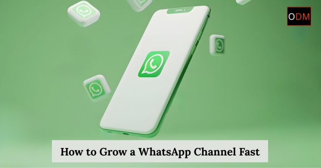 WhatsApp Channel Growth Tips