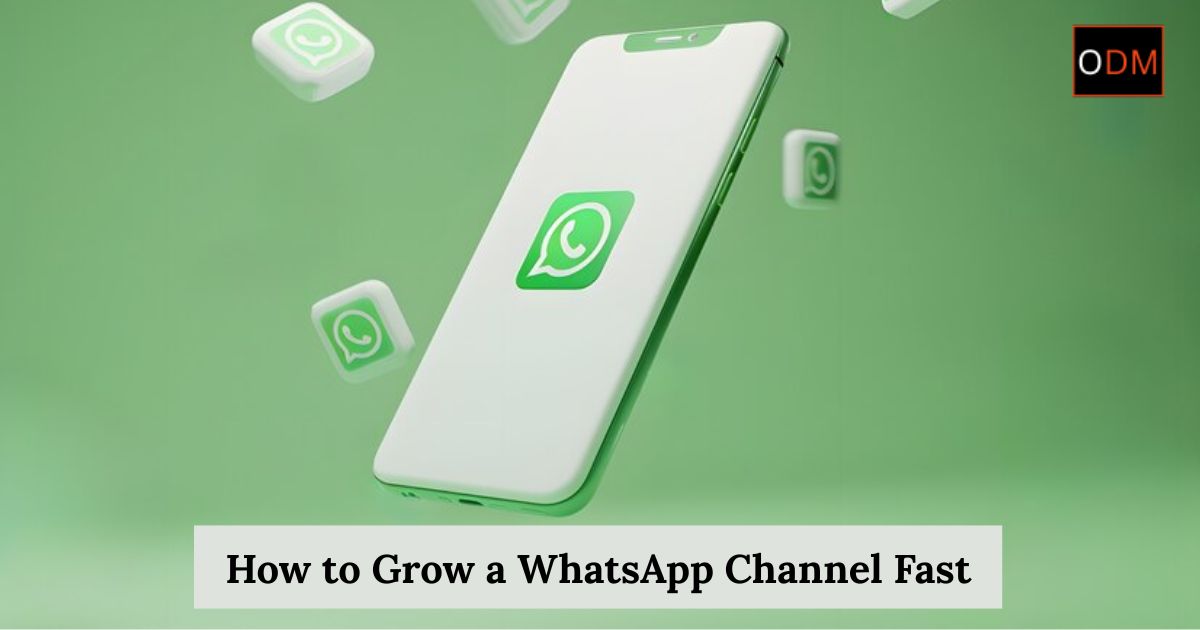 WhatsApp Channel Growth Tips & How to Grow a WhatsApp Channel Fast